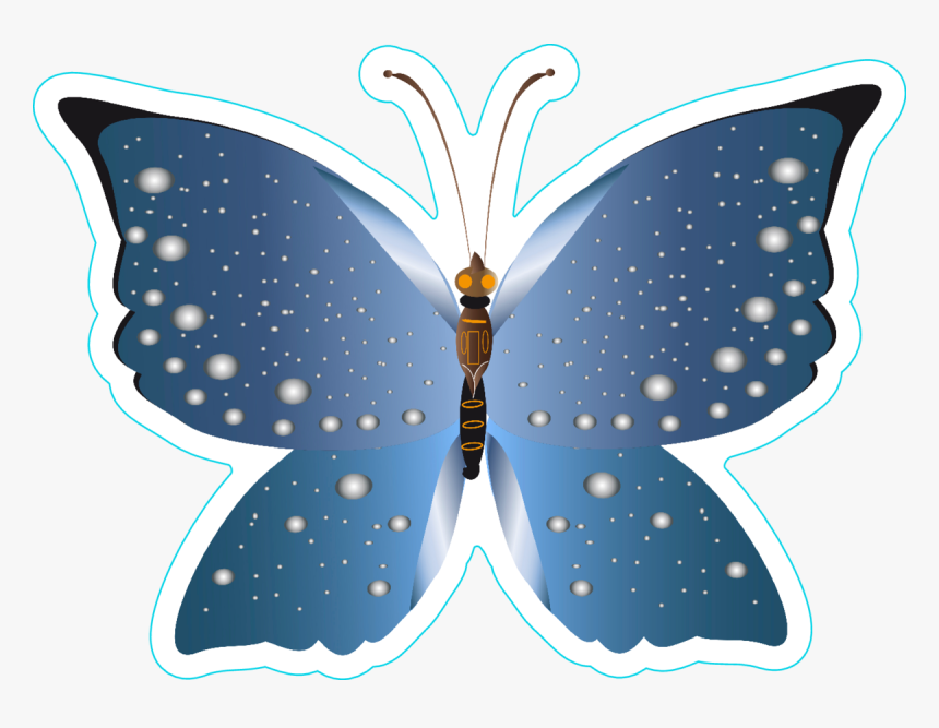 Butterfly Beautiful - Butterfly - Butterfly, HD Png Download, Free Download