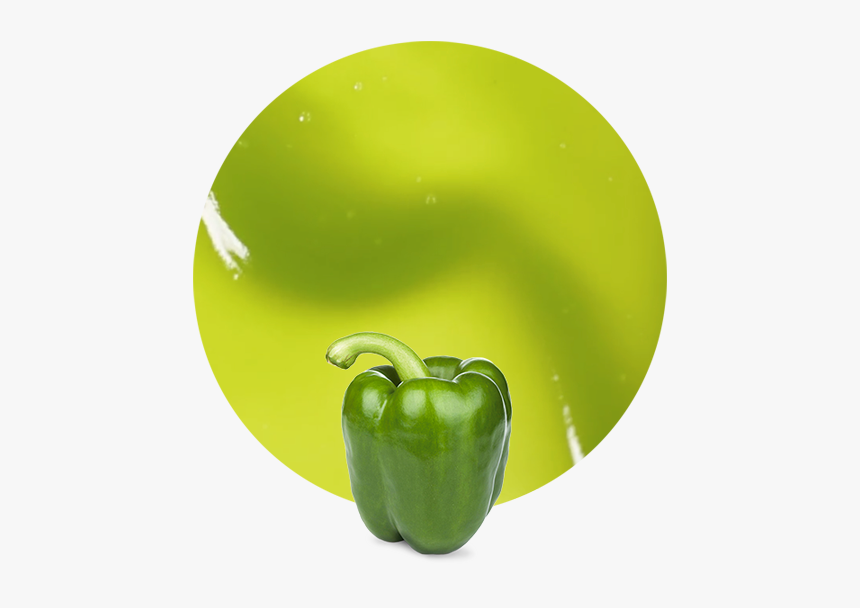 Green Bell Pepper, HD Png Download, Free Download