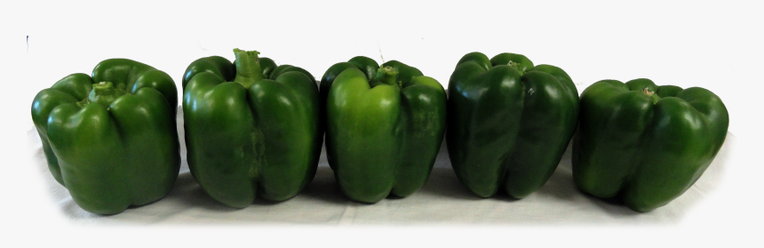 Bell Pepper Plant Png - Green Bell Pepper, Transparent Png, Free Download