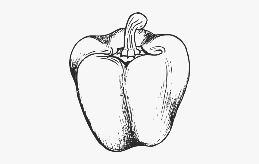 Orange Bell Pepper Drawing Png - Bell Pepper Drawing Png, Transparent Png, Free Download