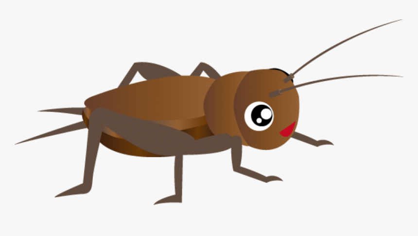 Cricket Clipart Png - Insect Cricket Clip Art, Transparent Png, Free Download