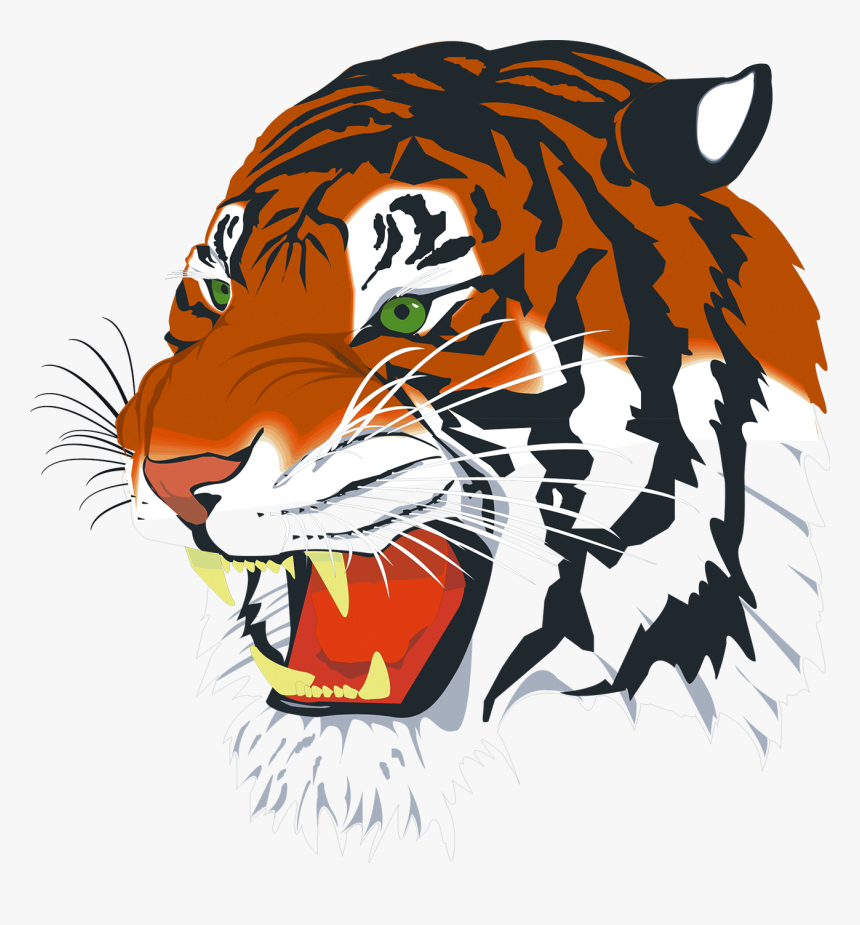 Tiger Png Vector - Tiger Head Png, Transparent Png, Free Download