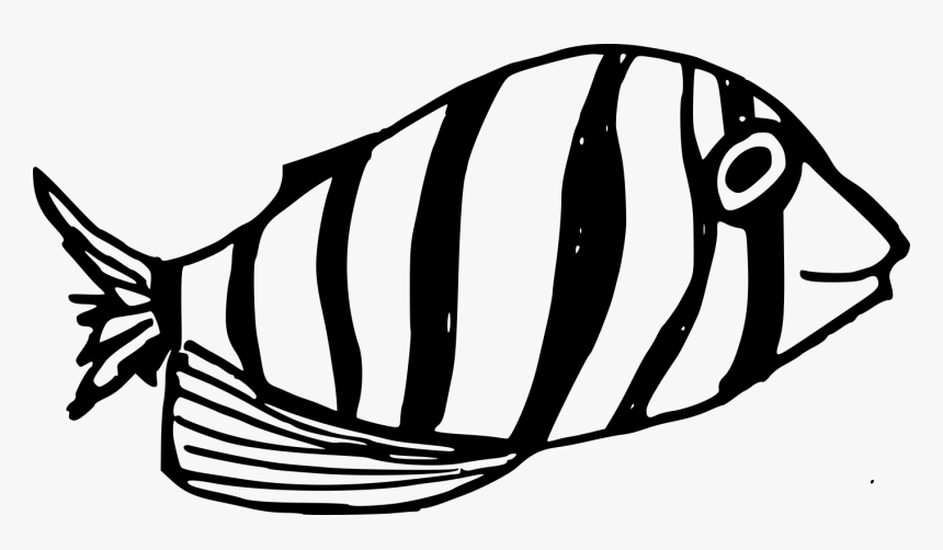 Transparent Images Fish Black And White Png, Png Download, Free Download