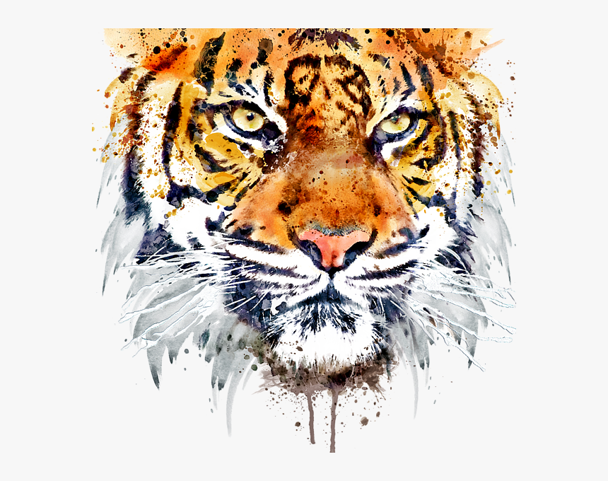 Tigers Drawing Front Face - Tiger Painting Black And White, HD Png Download, Free Download