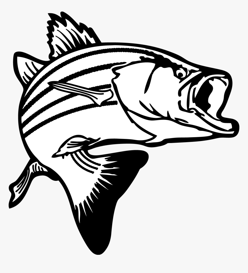 Free Walleye Cliparts Download - Bass Fish Clipart, HD Png Download, Free Download