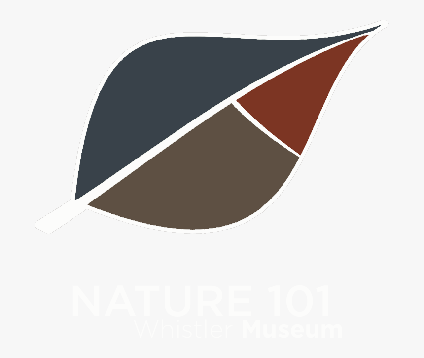 Nature101 Web, HD Png Download, Free Download