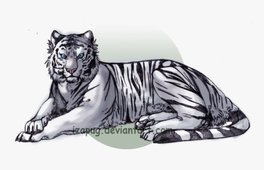 Sweet Tiger Cub: Anime-Inspired Cartoon On A White Background Royalty Free  SVG, Cliparts, Vectors, and Stock Illustration. Image 202314938.