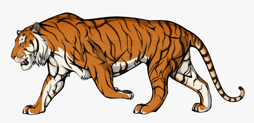 Cell Shaded Tiger Gambar Hewan Harimau Kartun HD Png 