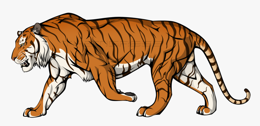 Cell Shaded Tiger Gambar  Hewan Harimau  Kartun  HD Png 