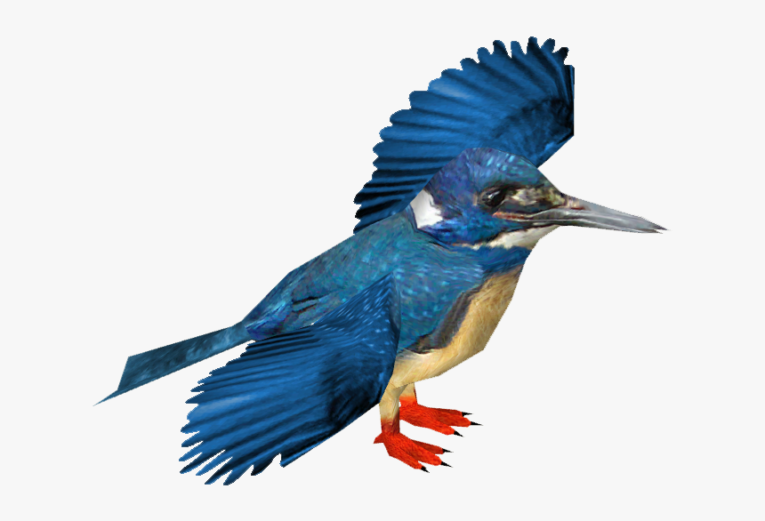 Belted Kingfisher , Png Download - Malachite Kingfisher Png, Transparent Png, Free Download