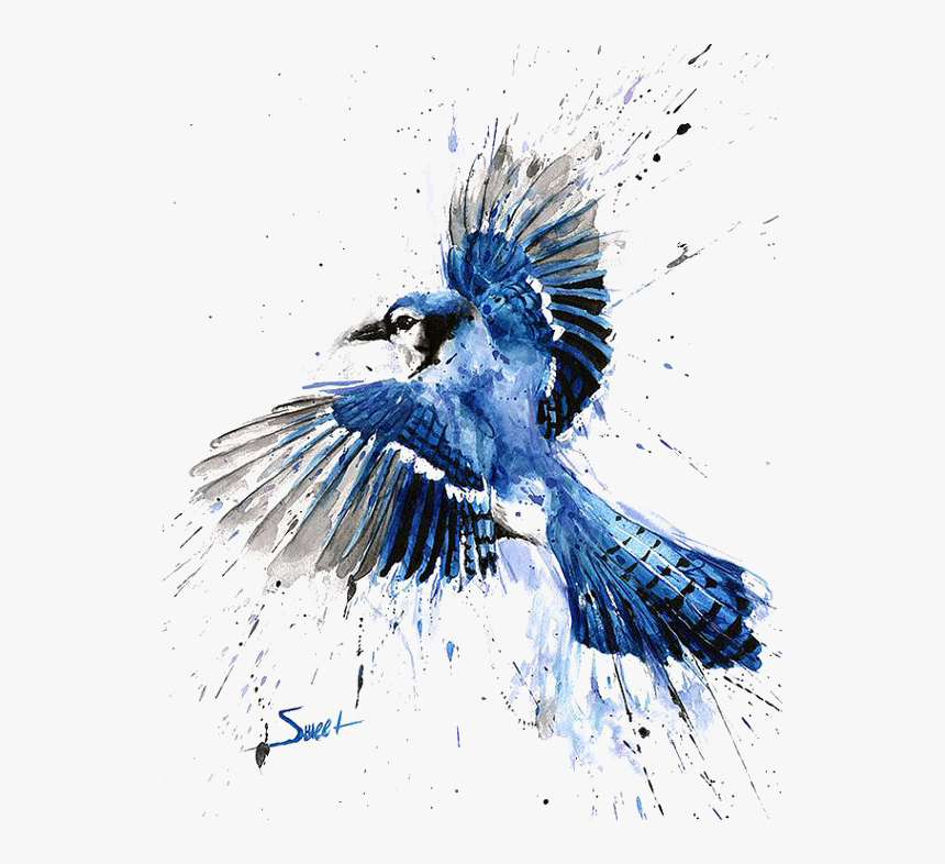 Belted-kingfisher - Blue Jay Watercolor Painting, HD Png Download, Free Download