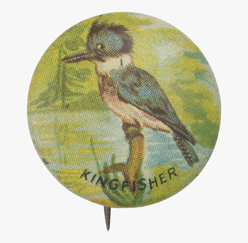 Kingfisher Art Button Museum - Hummingbird, HD Png Download, Free Download