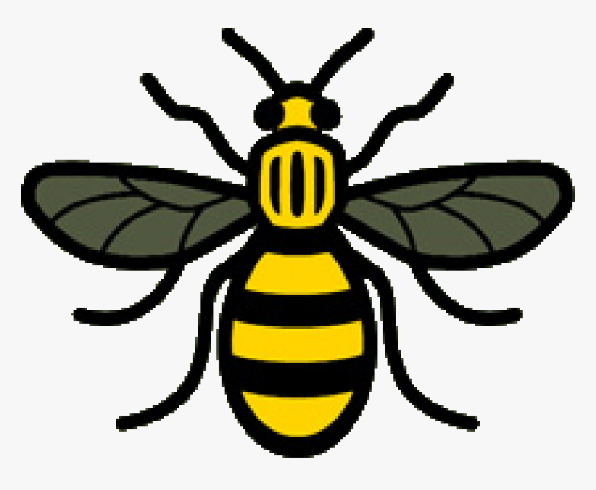 Bee, Home Kingfisher Special School - Manchester Bee Symbol, HD Png Download, Free Download