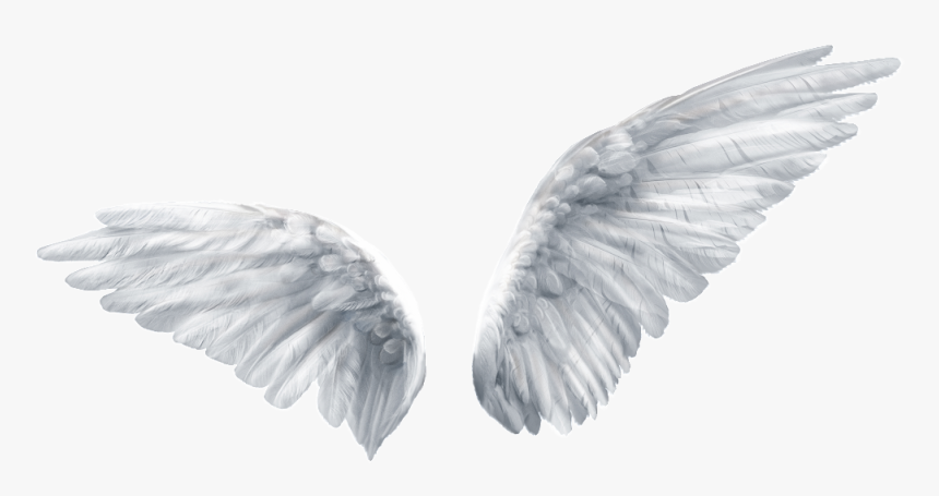 Overlay And Png Image - Transparent Background Angel Wings Transparent, Png Download, Free Download