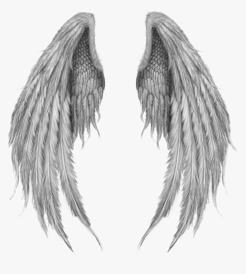 1 wing me. Крылья ангела. Сложенные Крылья. Сложенные ангельские Крылья. Сложенное крыло ангела