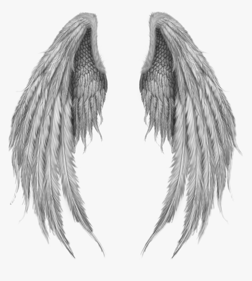 #alas #angel #angels #alasdeangel - Pink Angel Wings, HD Png Download, Free Download