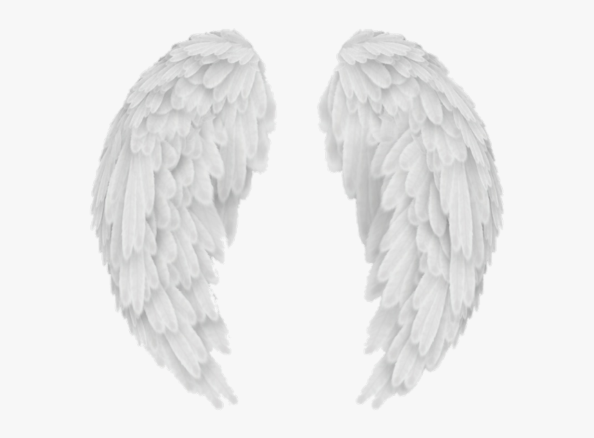 #wings #wing #alas #ala #overlay #tumblr #white #blanco - Transparent Angel Wings Vector, HD Png Download, Free Download