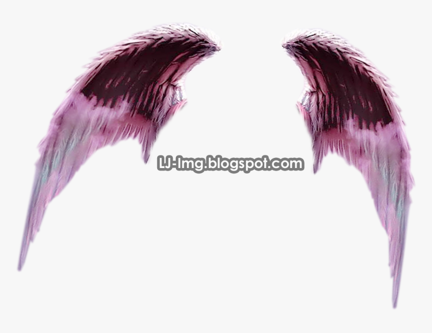 Supernatural Creature, HD Png Download, Free Download