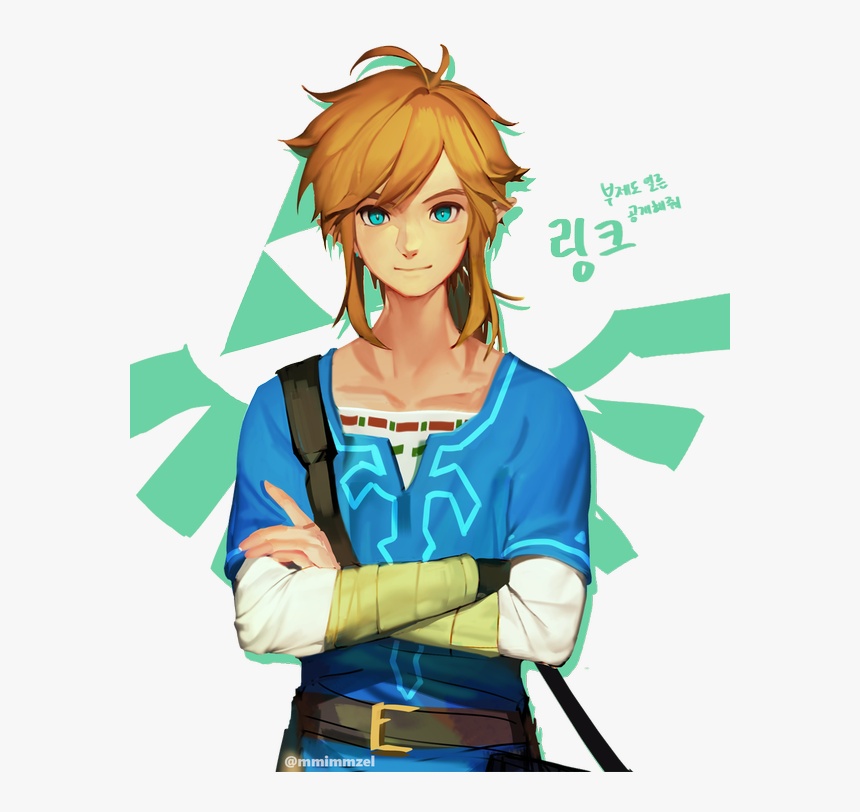 Link Breath Of Wild, HD Png Download, Free Download