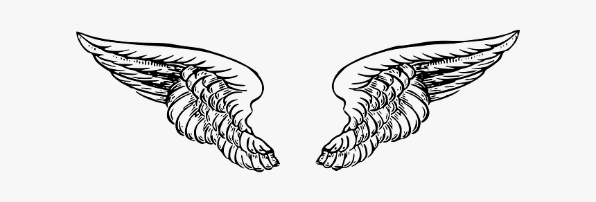 Clip Art Sketched Angel - Angel Wing Drawing Png, Transparent Png, Free Download