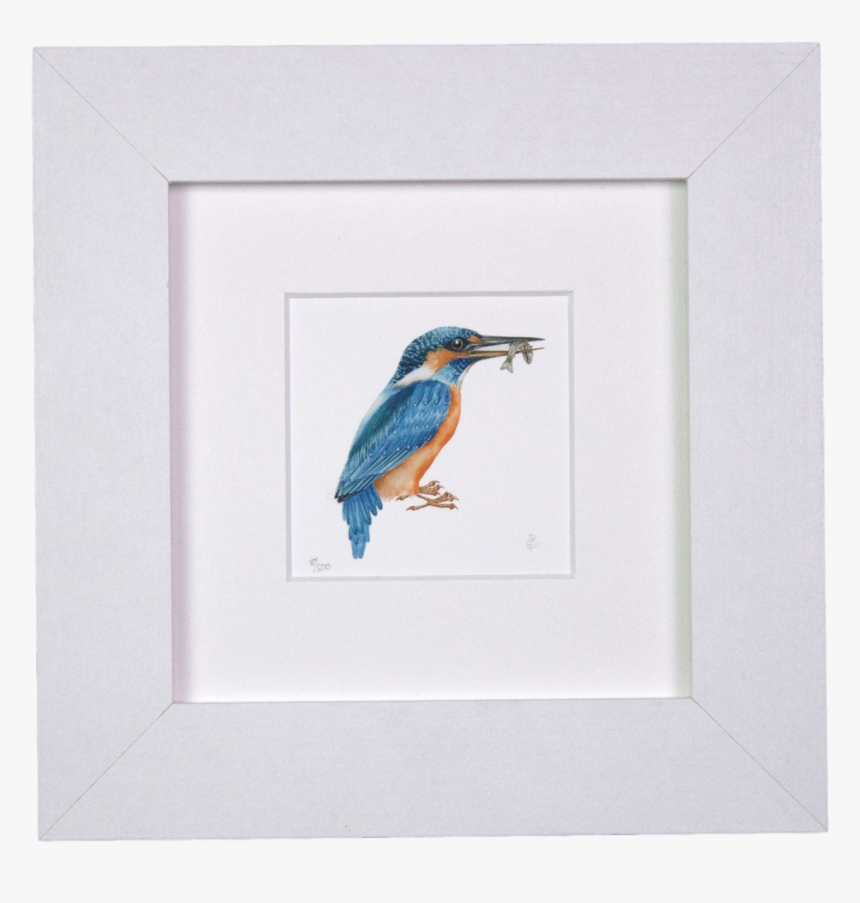 Kingfisher Mini Print - Western Meadowlark, HD Png Download, Free Download