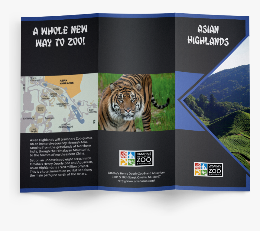 Transparent Asian Hat Png - Siberian Tiger, Png Download, Free Download