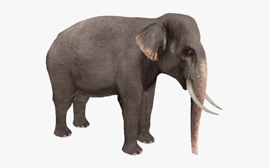 Elephant Png - Asian Elephant Transparent Background, Png Download, Free Download