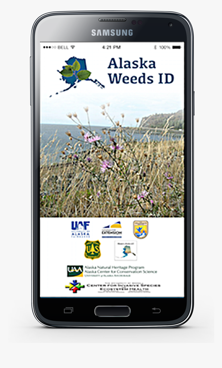 Ivegot1 App - Smartphone, HD Png Download, Free Download