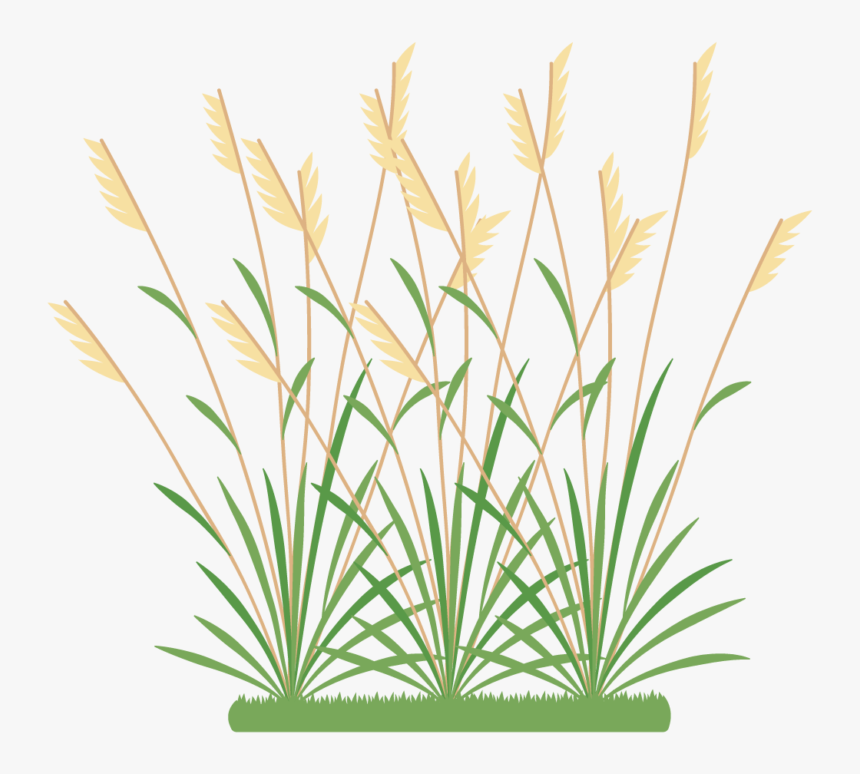 Grass Icon Png, Transparent Png, Free Download