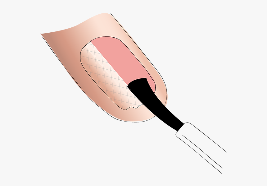 Apply Phase 2, The Sealer, Which Smooths The Tiny Rough - Lip Gloss, HD Png Download, Free Download