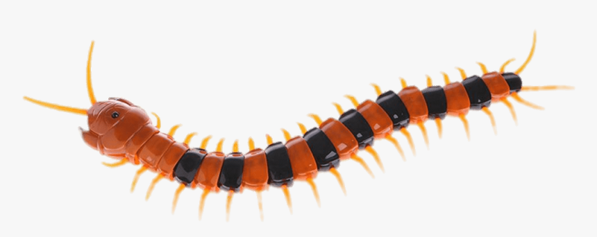 Plastic Centipede - Centipede Png, Transparent Png, Free Download