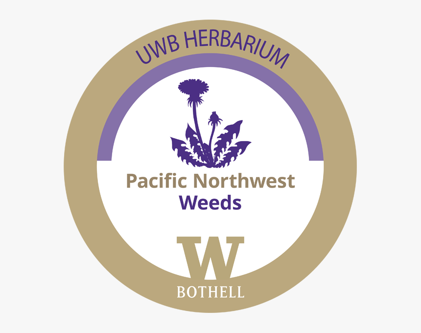 Pnw Weeds - Uw Bothell, HD Png Download, Free Download