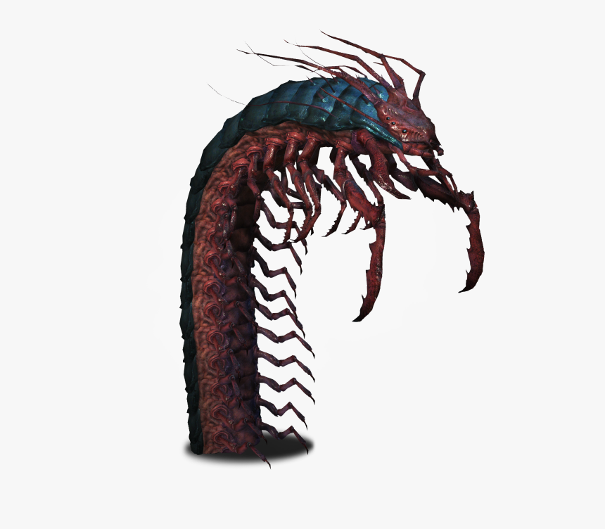 654 X 727 - Giant Centipede 5e, HD Png Download, Free Download