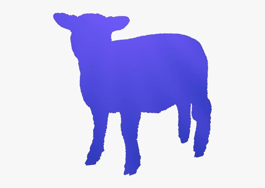 Baby Lamb Png Transparent Images - Owieczki Png, Png Download, Free Download