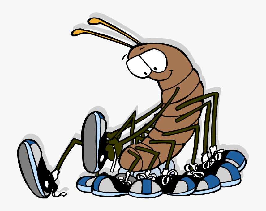 - Cartoon Centipede Wearing Shoes Clipart , Png Download - Centipede Putting On Shoes, Transparent Png, Free Download