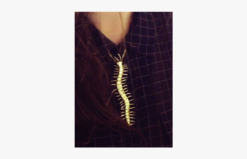 Tyramin Centipede Necklace - Firebrat, HD Png Download, Free Download