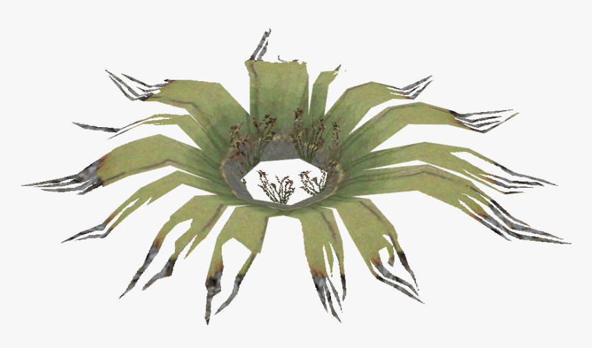 Centipede Png , Png Download - Artificial Flower, Transparent Png, Free Download