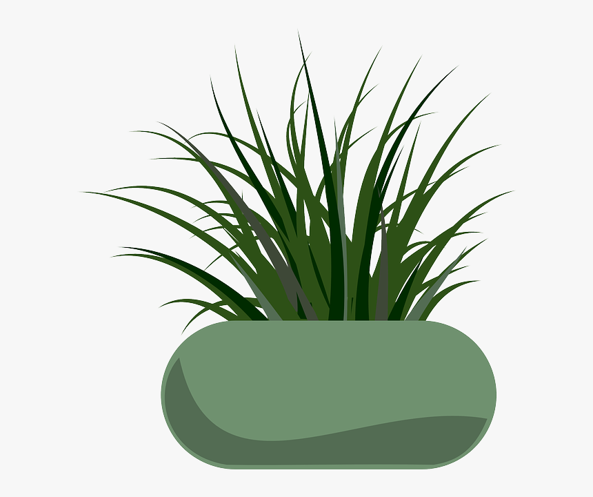 Planter, Grass, Garden, Gardening, Weeds - Grass Clip Art, HD Png Download, Free Download