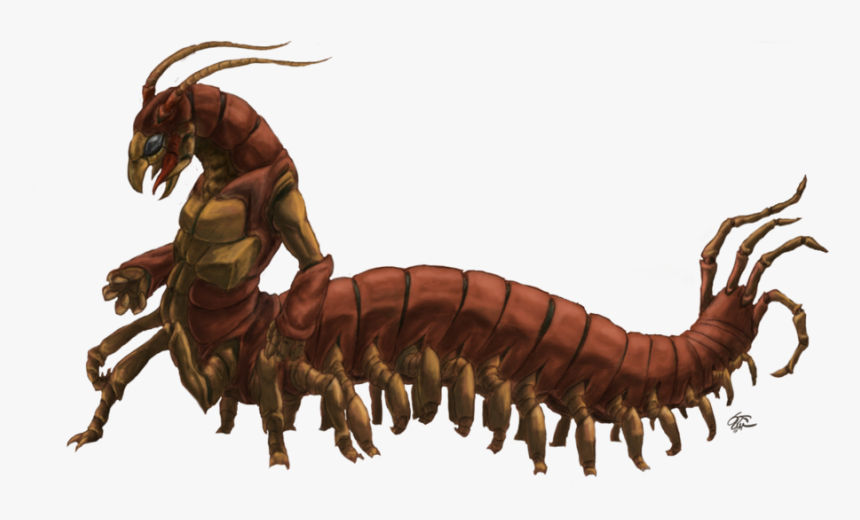 Drawing Insect Centipede - Centipede Man, HD Png Download, Free Download