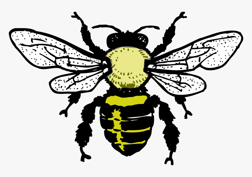 Honey Bee Silhouette, HD Png Download, Free Download