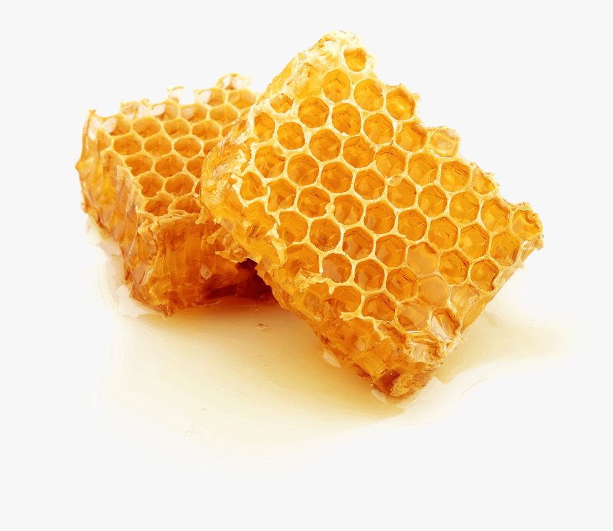 Beehive Honeycomb Honey Bee - Cera Alba Beeswax, HD Png Download, Free Download