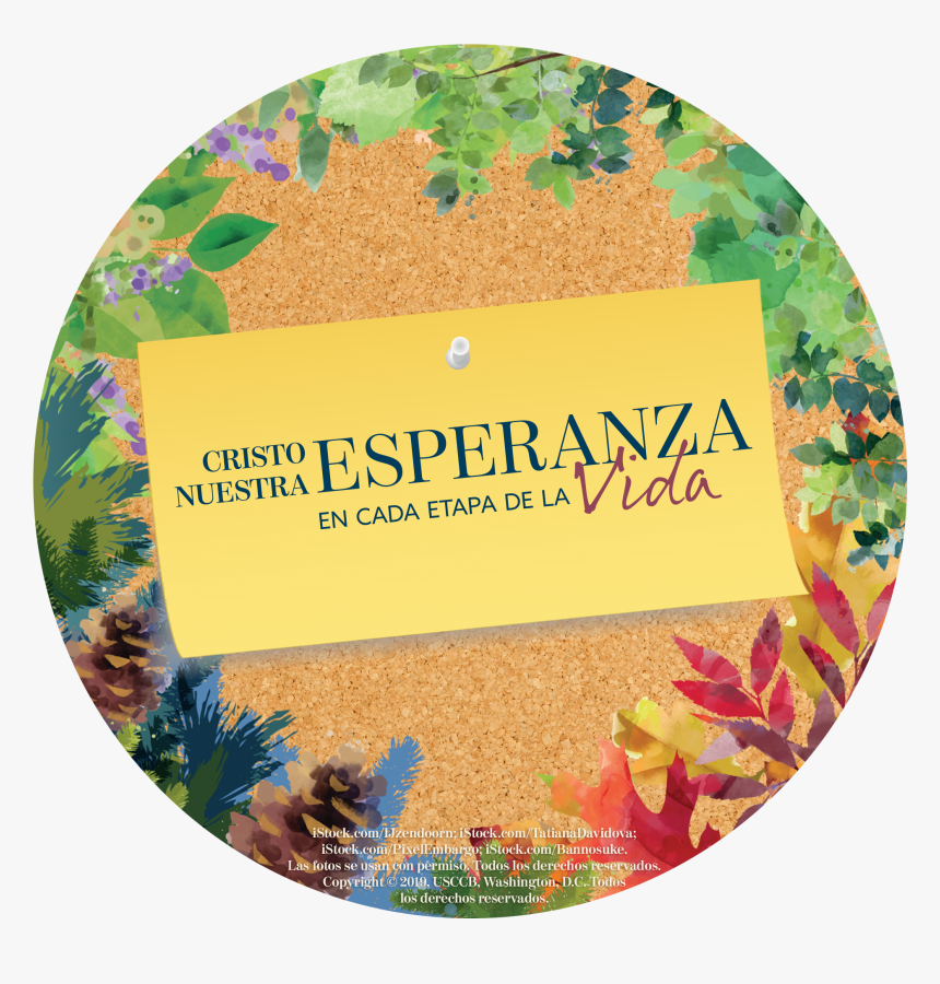 Spanish Png, Transparent Png, Free Download