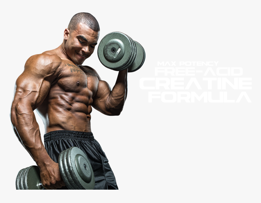 Bodybuilding Png - Bodybuilder Png, Transparent Png, Free Download