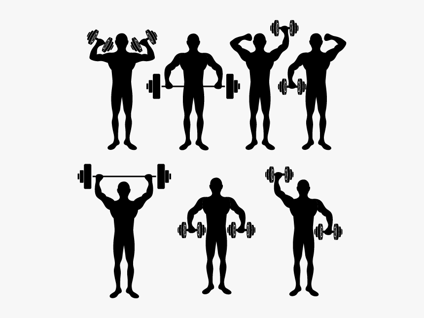Physical Exercise Physical Fitness Stretching Silhouette - Hypertrophy Vs Strength Results, HD Png Download, Free Download