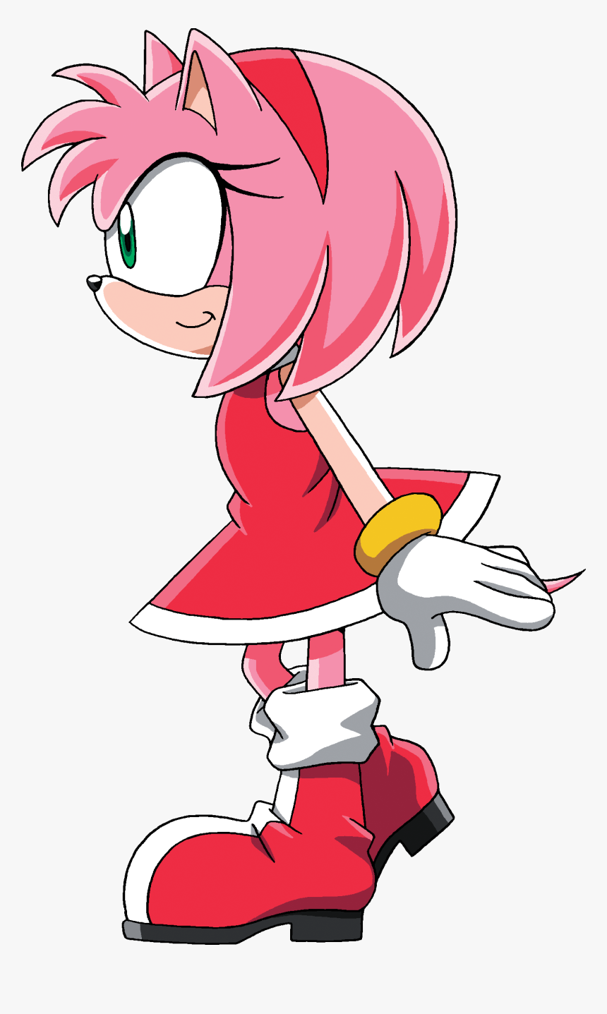 Sonic X Glance Left - Amy Rose The Hedgehog, HD Png Download, Free Download