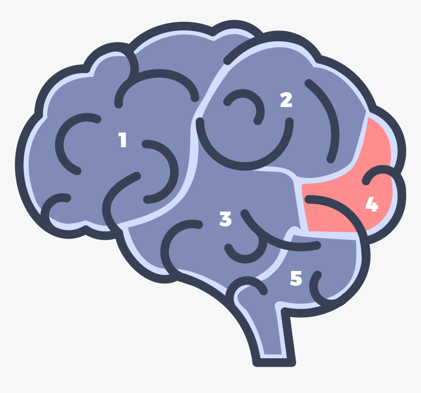 Brain Of Book Nerd, HD Png Download, Free Download