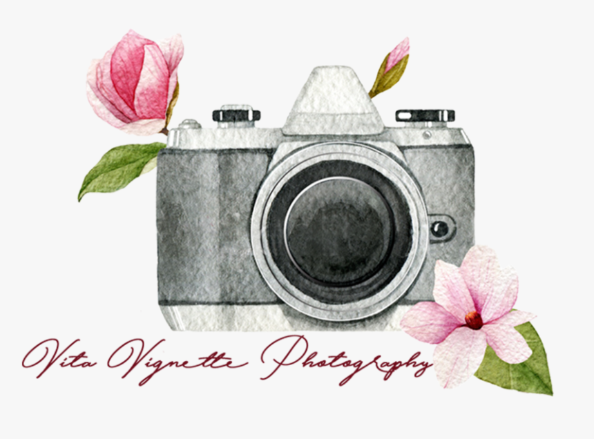 Camara Vintage Png , Png Download - Watercolor Vintage Camera Logos, Transparent Png, Free Download