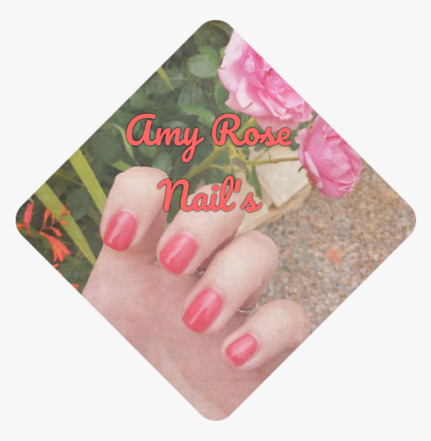 Nail Polish, HD Png Download, Free Download