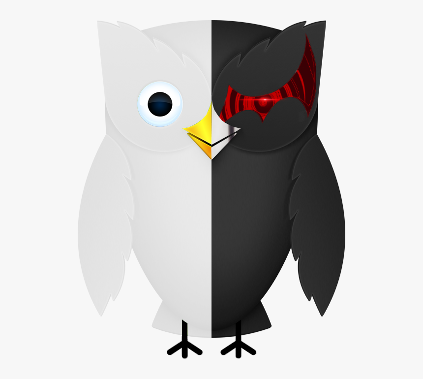 Owl, HD Png Download, Free Download