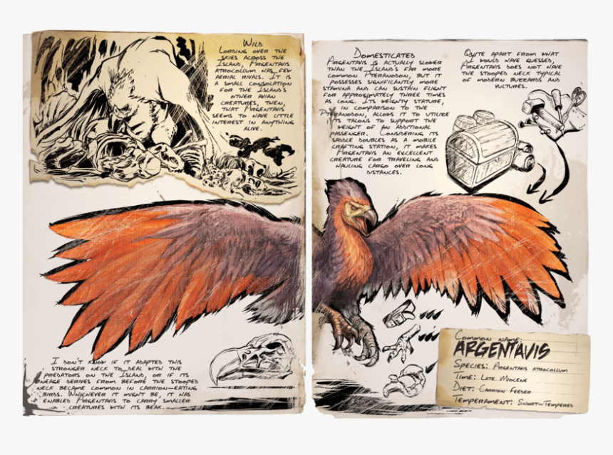 Ark Argentavis Dossier, HD Png Download, Free Download